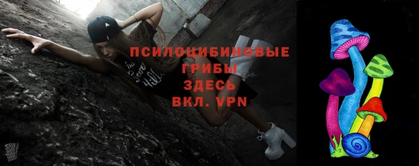 ГАЛЛЮЦИНОГЕННЫЕ ГРИБЫ Сатка