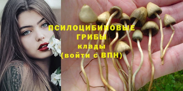 амф Балабаново