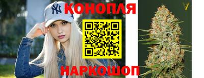 мдпв Гай
