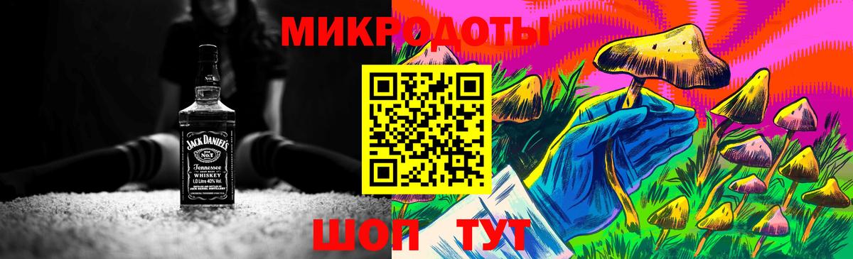 Псилоцибиновые грибы прущие грибы Сегежа